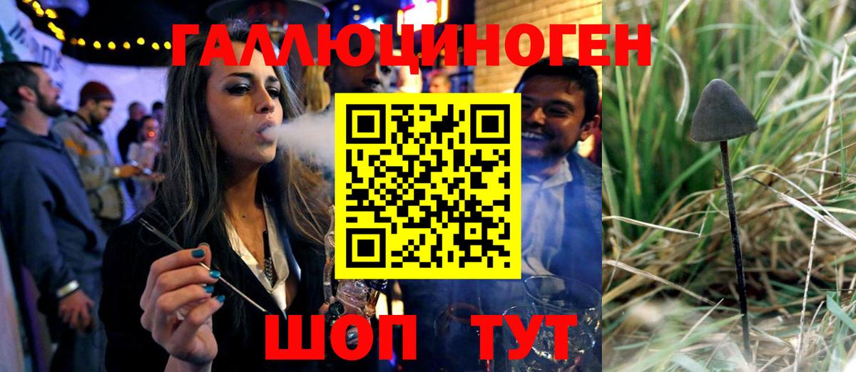 Галлюциногенные грибы GOLDEN TEACHER Геленджик