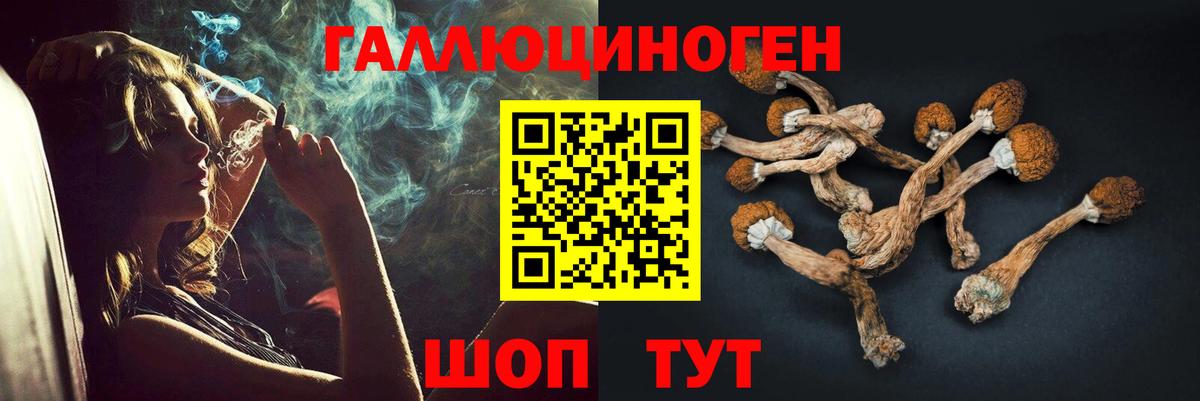 Геленджик  Псилоцибиновые грибы Magic Shrooms  наркошоп  Вход с VPN 
