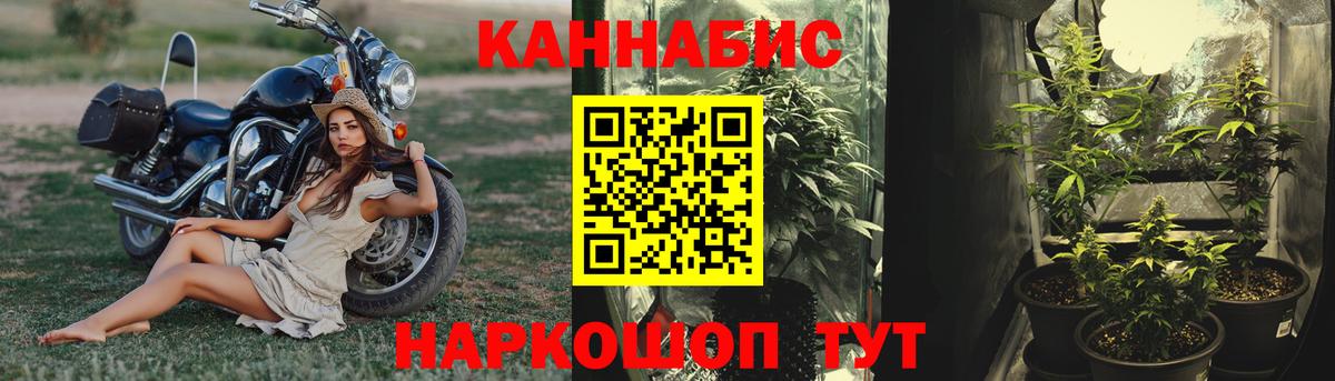 Марихуана White Widow Геленджик